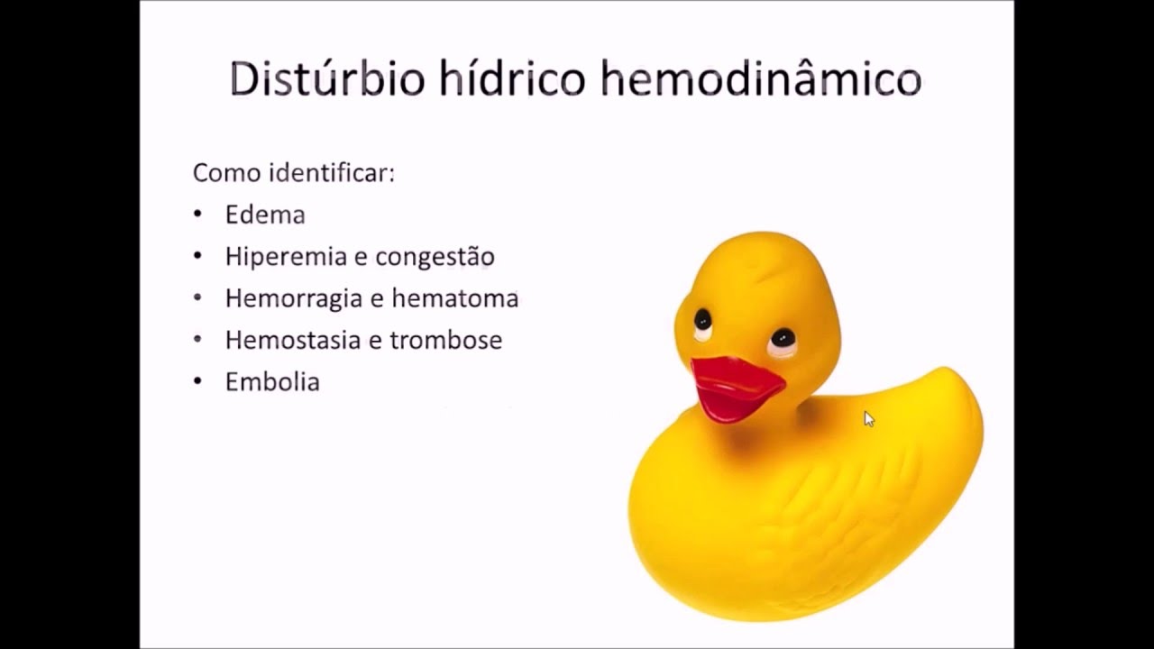 Monitoria - Distúrbios Hídrico-hemodinâmico (Patologia) - Part 01