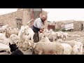 La vida del pastor | Entrevista a pastores de ovejas