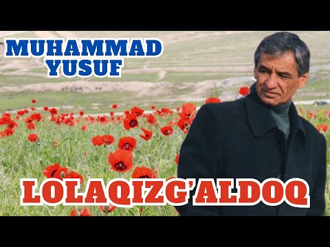 Muhammad Yusuf | Lolaqizg'aldoq