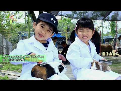 ホット台南 EP8.Fun on the Farm (Hot Tainan EP8.Fun on the Farm)