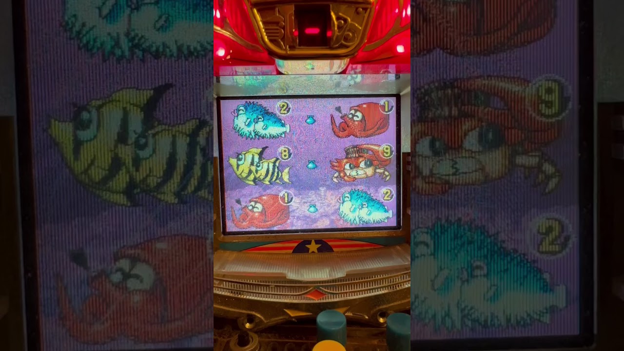 Shorts ギンギラパラダイス