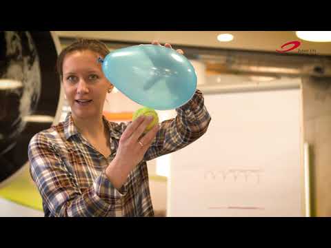 Junior Uni DigiTal - Das Lotus-Experiment