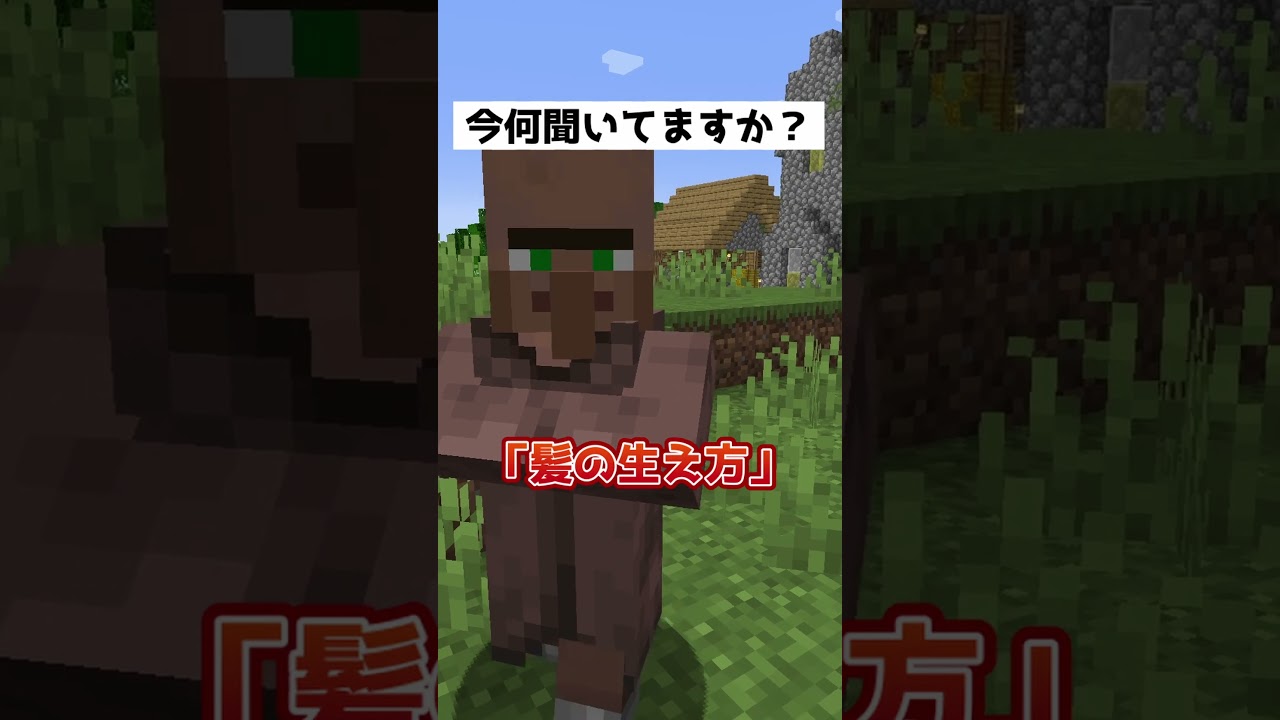 村人に何聞いているか聞いてみた結果…【マインクラフト】#shorts