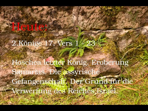 11.August:2.Könige 17, Vers 1 - 23: Hoschea.Eroberung Samarias.Assyrische Gefangenschaft.