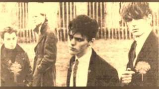 AND ALSO THE TREES - TALK WITHOUT WORDS (VICOLAND TRIBUTE)