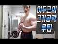 전성기복귀 프로젝트 27일차 이두운동 이두근의 크기공략 운동루틴