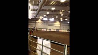 Andrea&#39;s Black Gold Run