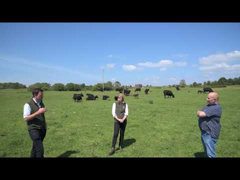 Torhousekie Monitor Farm Discussion