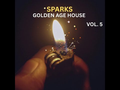 SPARKS | Golden Age House Music Mix Vol. 5 | Fedde Le Grand, Afrojack, Avicii | Mashups