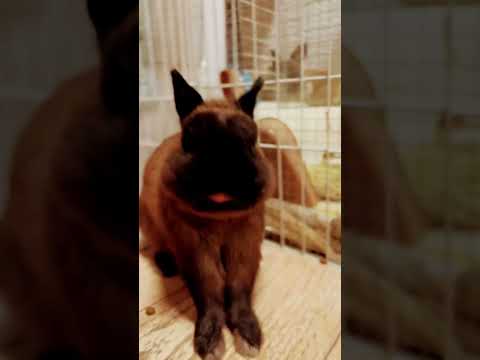 New#viral#funny #viral #comedy #video