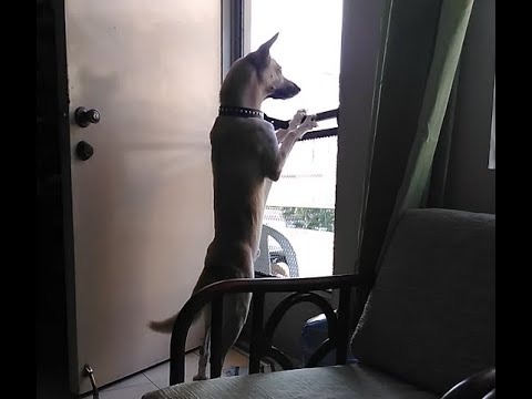 I know He's Wait for Me