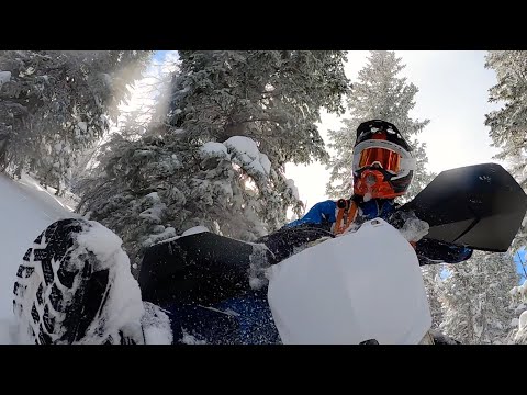 Timbersled ARO3 - Deep Snow Domination