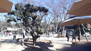 preview picture of video 'Korea Journey: The Camp Fire of Nami Island'