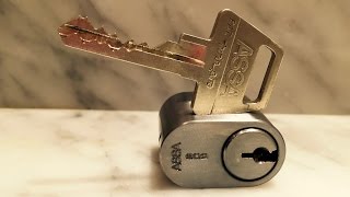 ASSA Twin Pro - Pick & Gut