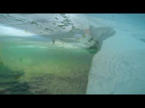 Isfiskeri efter fjeldørred