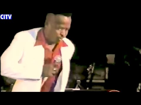 The Terrifying Adventures of Scrunter the Hunter