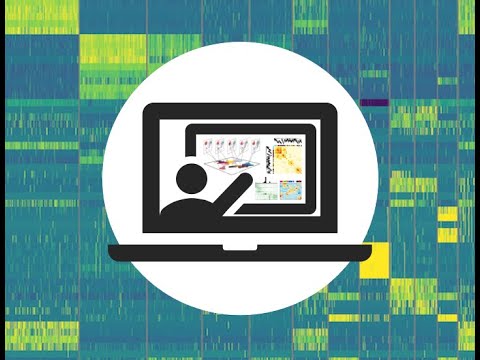 Managing Multiple Datasets: Downstream Analysis for scRNA Sequencing