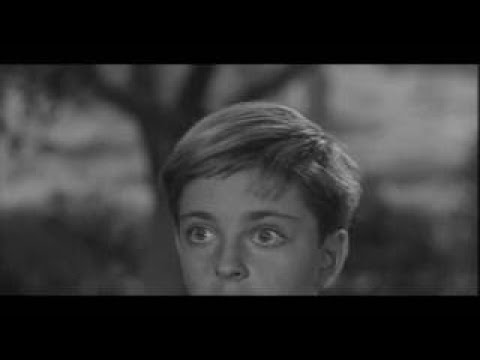 Lassie S02 E08 - The Witch