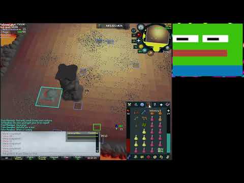 Adoptulous First Infernal Cape - Full Zerker Inferno Run