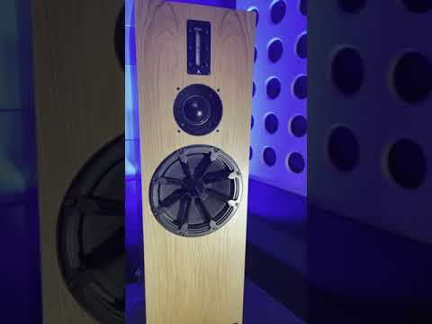 Get The 3-Way ATC Sound For Only £1,500 #shorts