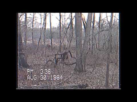 (FREE) J.I.D X EarthGang X Isaiah Rashad Type Beat- Balance