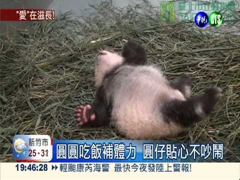 圓仔貼心不吵鬧 母女心有靈犀