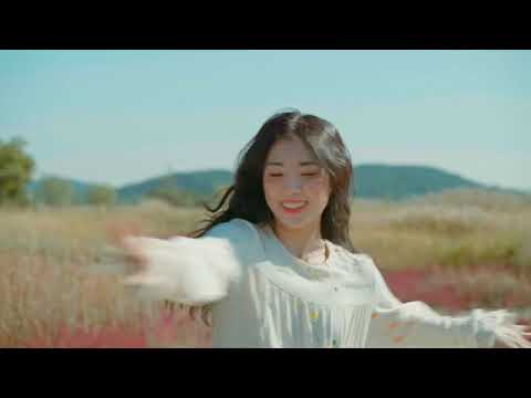 비디오 16
