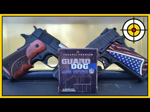 It Barks, But Will It Bite? Federal Premium Guard Dog .45acp Home Defense Ammo, Ballistic Gel Test!
