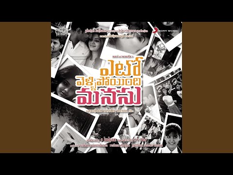 లాయి లాయి