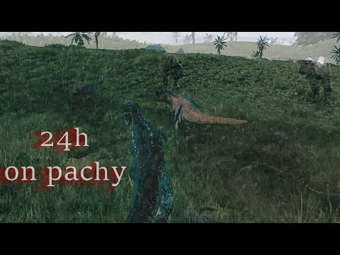 The 24h Pachy Experience : The Isle Evrima UP6