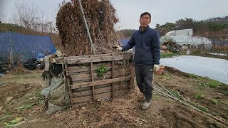 3년만에  파렛트로 만든 화분에 심은 긴마,더덕,도라지를 수확해 보겠습니다.