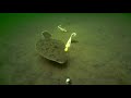 Underwater Flounder Fluke Fishing Behavior