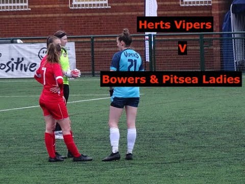 Herts Vipers v Bowers & Pitsea Ladies - Match highlights
