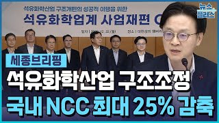 탄력 받는 석화 구조조정..최대 370만톤 감축 [세종브리핑] / 한국경제TV뉴스