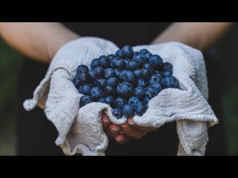 Pure Blueberry Juice