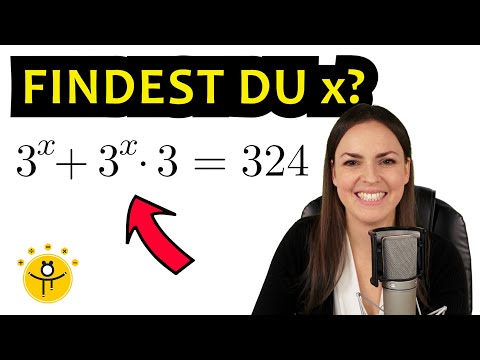 Exponentialgleichungen lösen – Gleichung mit hoch x