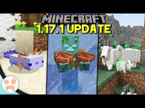 Everything Changed in the Minecraft 1.17.1 Update!