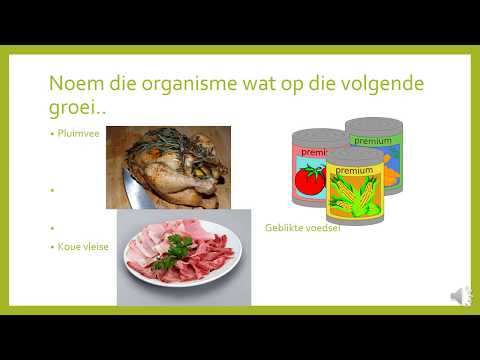 GASVRYHEIDSTUDIE GRAAD 11: 26 Junie 2020 - periode 3 (26113)