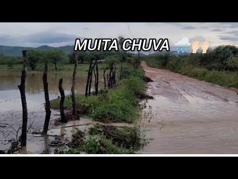 MUITA CHUVA NO SERTÃO DE ALAGOAS NA CIDADE DE PARICONHA.
