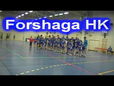 forshaga   guldkroken