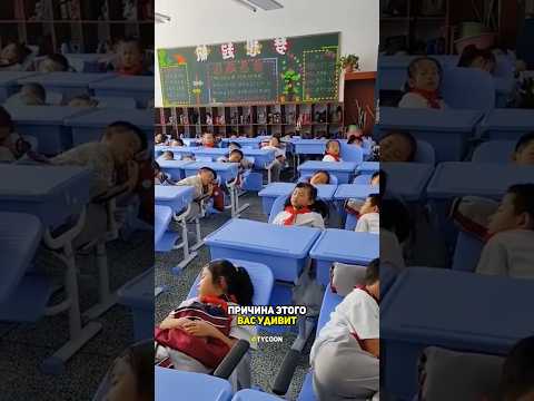 Почему в японских школах дети не сдают экзамены?