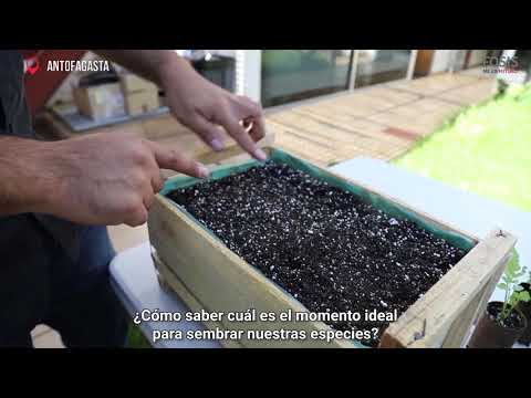 El calendario de siembra