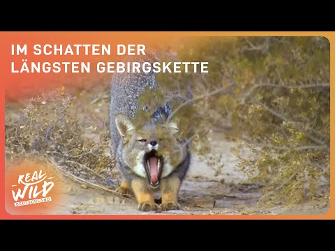 Natural paradise Andes | Between Tierra del Fuego and the peaks