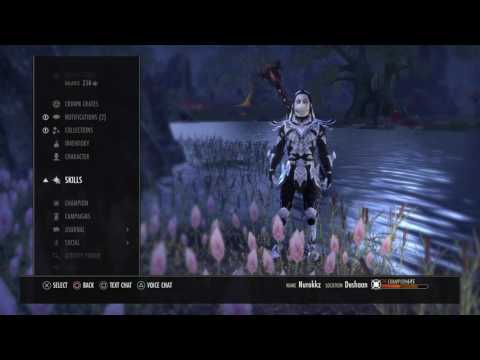 BEST DRAGONKNIGHT HEALING BUILD Post homestead Patch!!