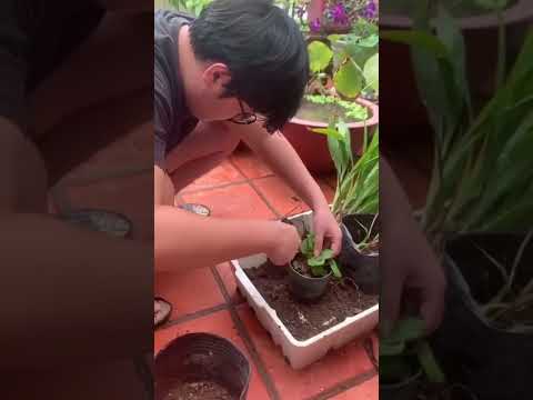 PHỤC VỤ CỘNG ĐỒNG-TOÁN-TINK45-UKH