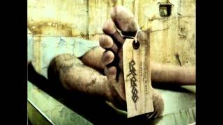 1917 -  Hepatic Tissue Fermentation II (Carcass Cover)