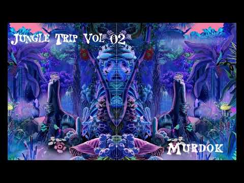 Jungle Trip Vol 02 (Progressive Pystrance Mix)