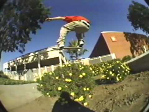 Transworld-Feedback (1999)