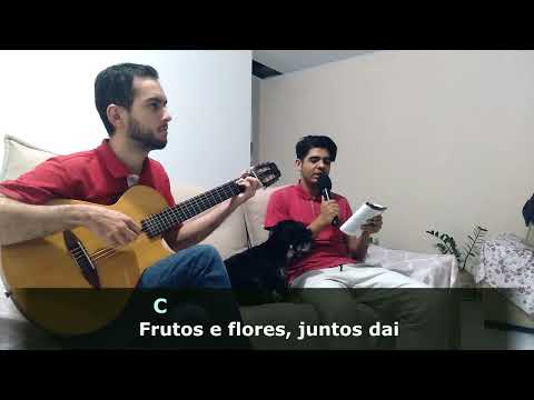 A Criação e Seu Criador - Cantor Cristão