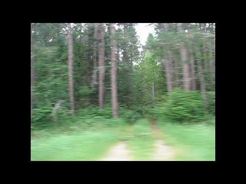 ✦ free sad midwest emo / acoustic type beat "no reason to smile"